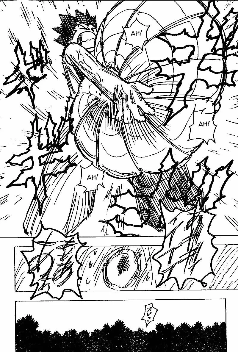 Hunter X Hunter Chapitre 195 page 13