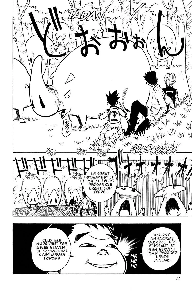 Hunter X Hunter Chapitre 2 page 41