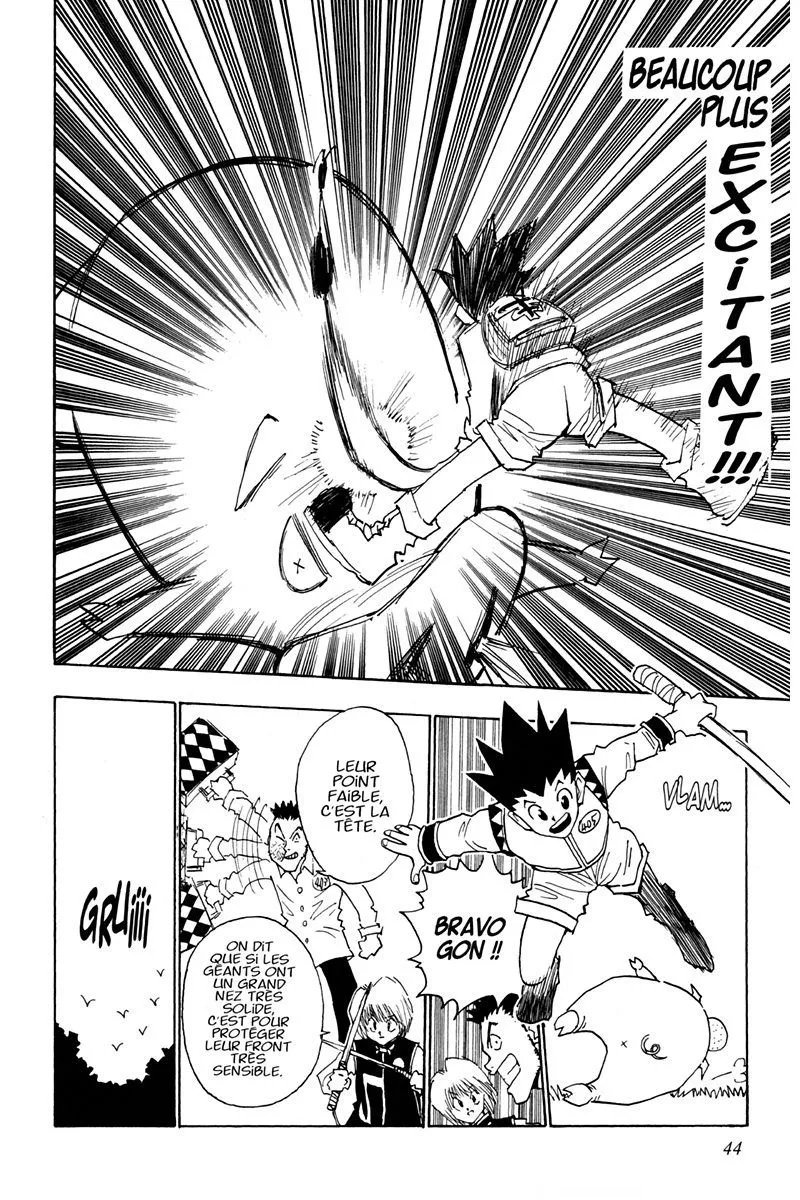 Hunter X Hunter Chapitre 2 page 43