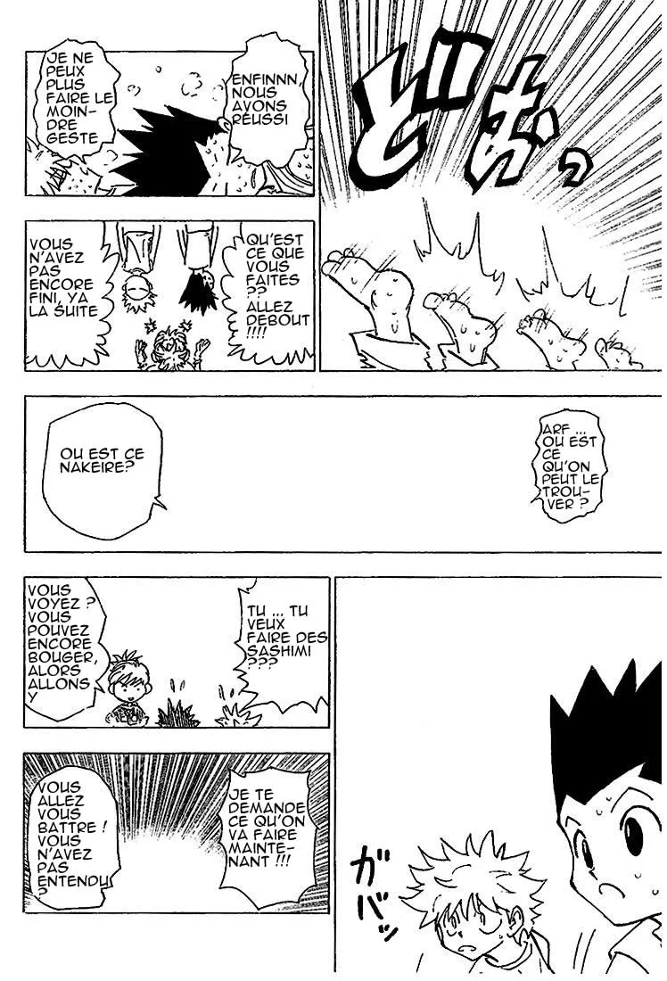 Hunter X Hunter Chapitre 202 page 12