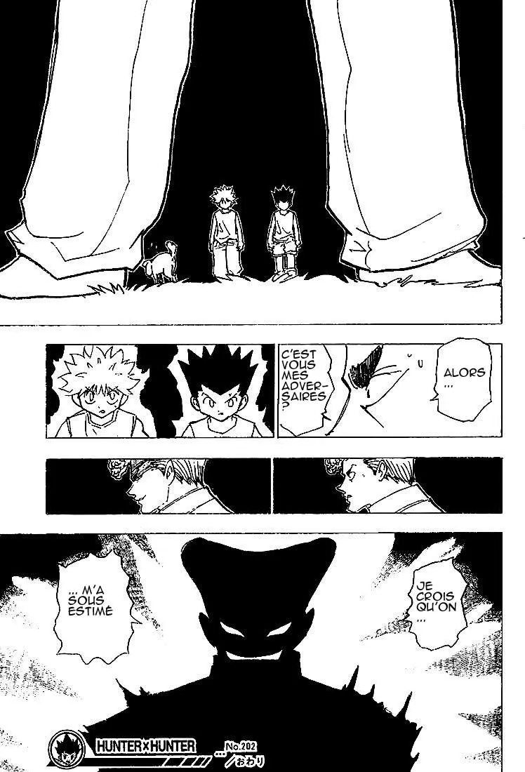 Hunter X Hunter Chapitre 202 page 15