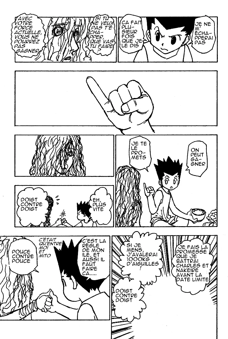 Hunter X Hunter Chapitre 205 page 9