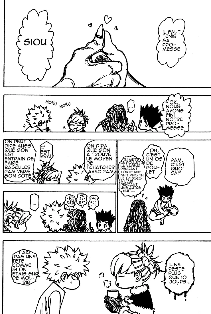 Hunter X Hunter Chapitre 205 page 10