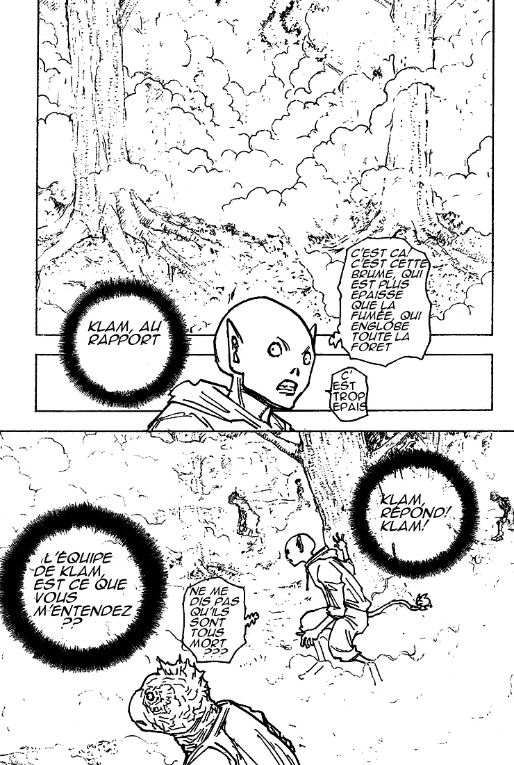 Hunter X Hunter Chapitre 205 page 11