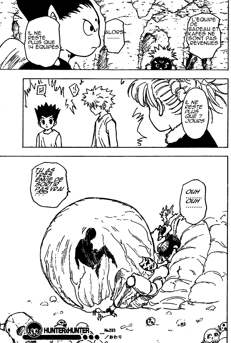 Hunter X Hunter Chapitre 205 page 15