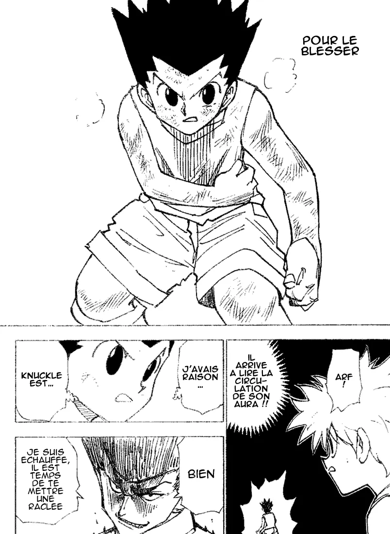 Hunter X Hunter Chapitre 207 page 10