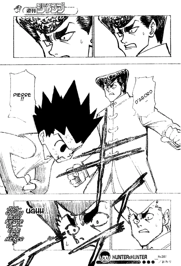 Hunter X Hunter Chapitre 207 page 15