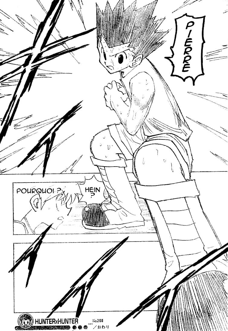Hunter X Hunter Chapitre 208 page 14