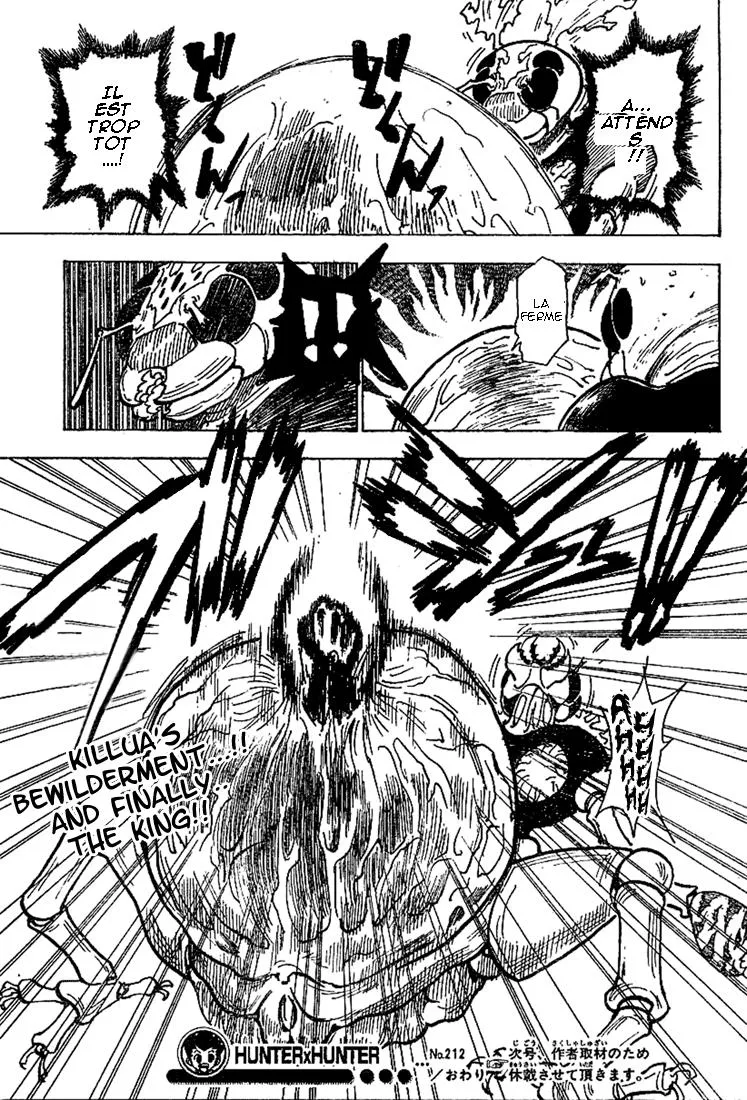 Hunter X Hunter Chapitre 212 page 15