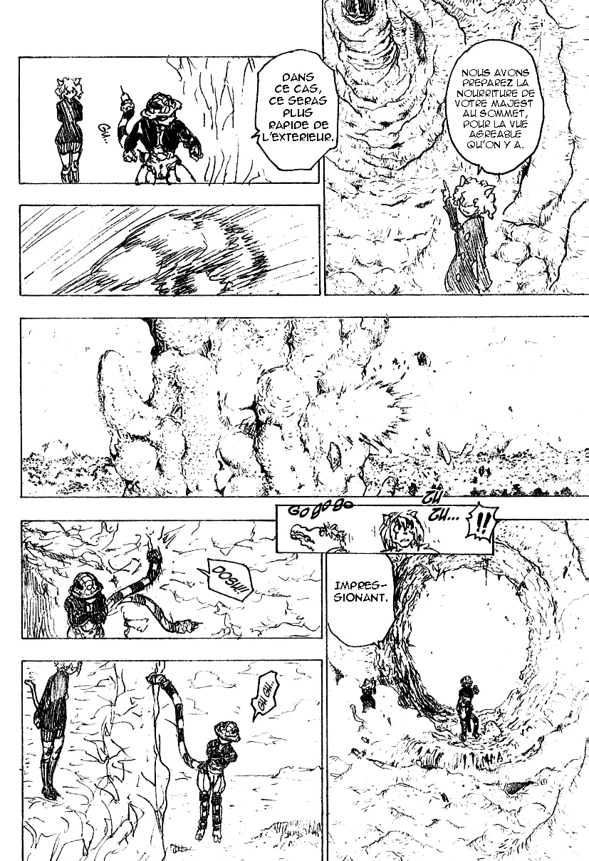 Hunter X Hunter Chapitre 213 page 10