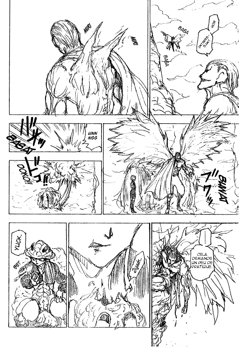 Hunter X Hunter Chapitre 213 page 12