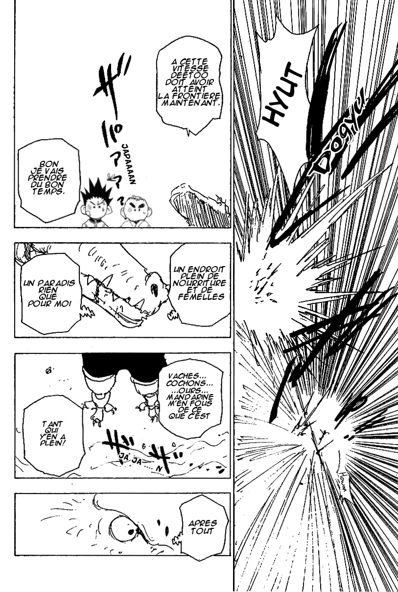 Hunter X Hunter Chapitre 216 page 8