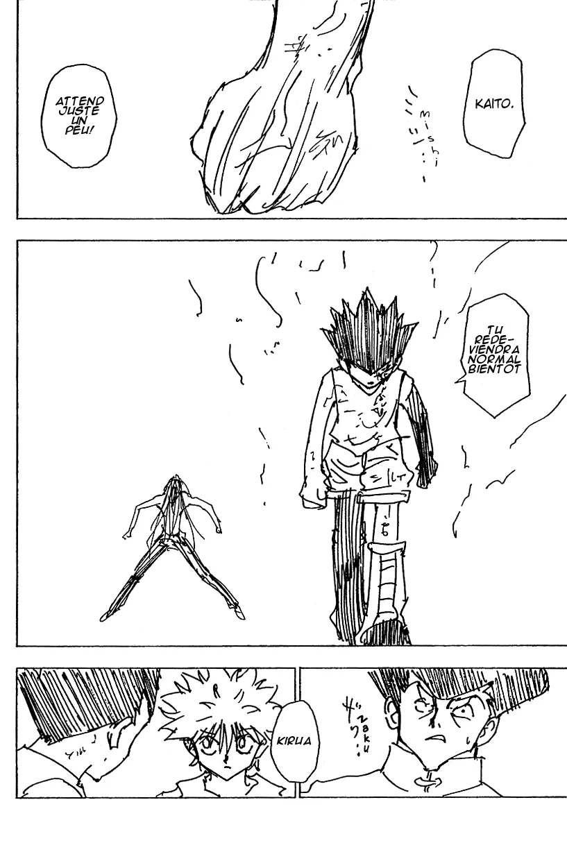 Hunter X Hunter Chapitre 222 page 14