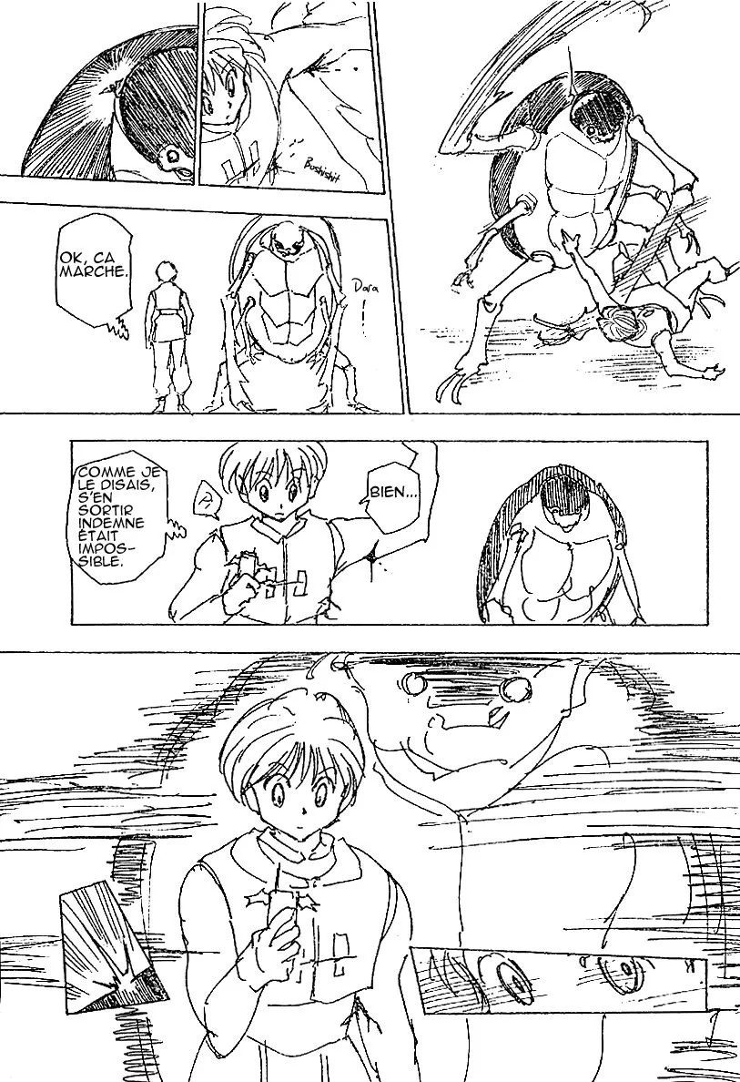 Hunter X Hunter Chapitre 226 page 9