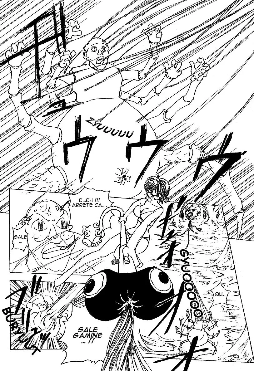 Hunter X Hunter Chapitre 228 page 2