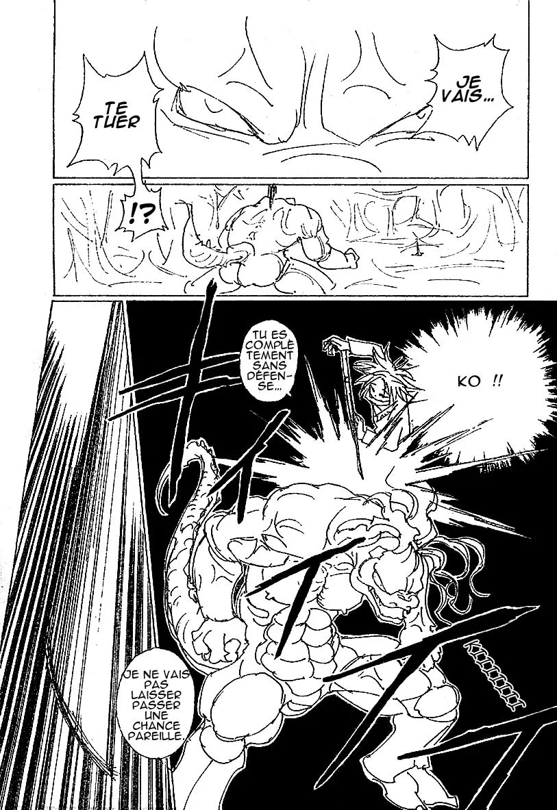 Hunter X Hunter Chapitre 228 page 13