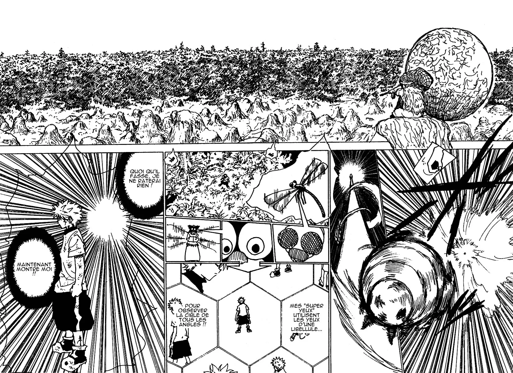 Hunter X Hunter Chapitre 237 page 6