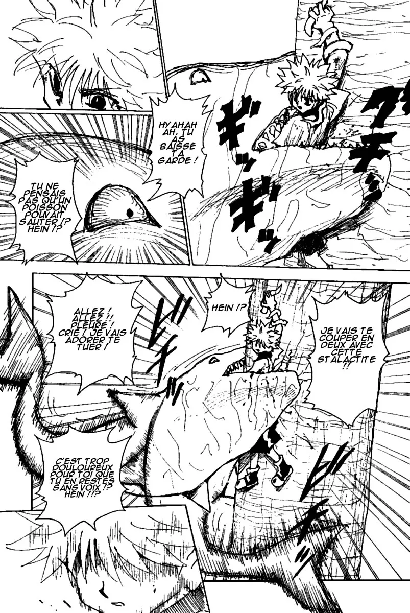 Hunter X Hunter Chapitre 238 page 13