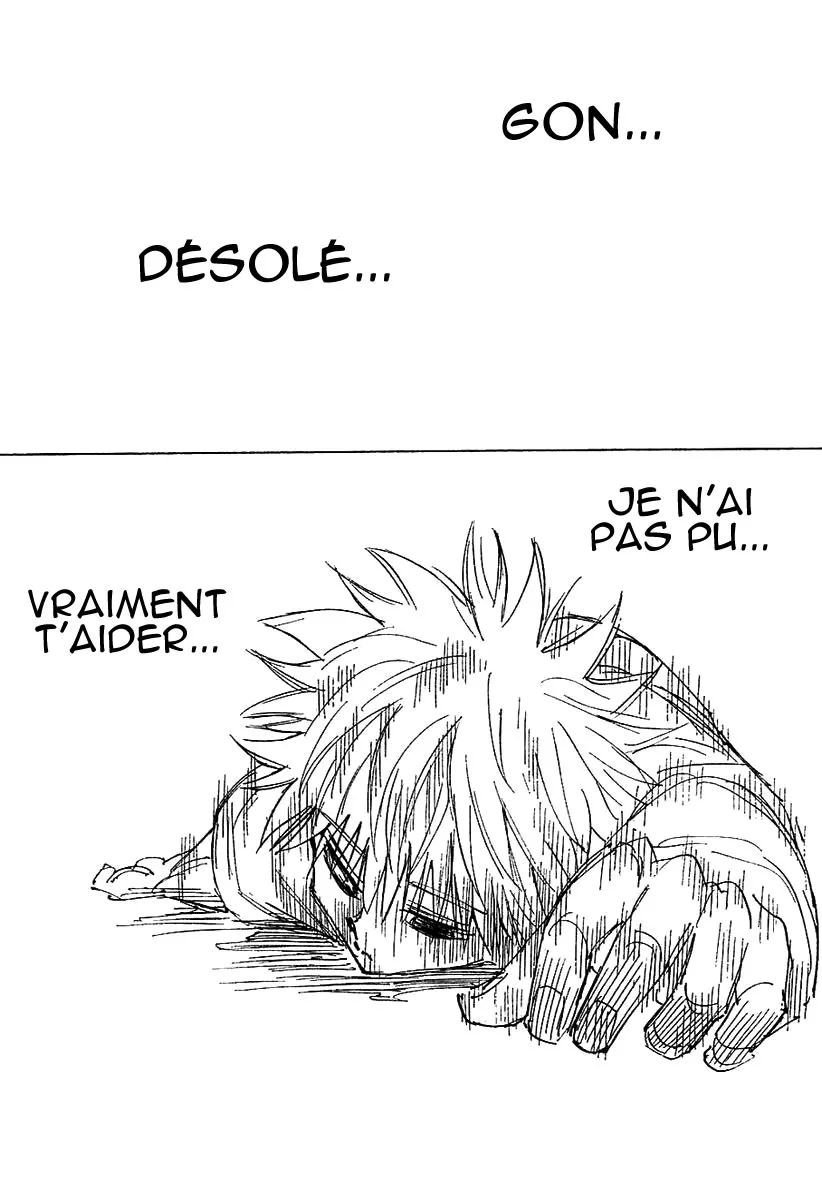 Hunter X Hunter Chapitre 241 page 5
