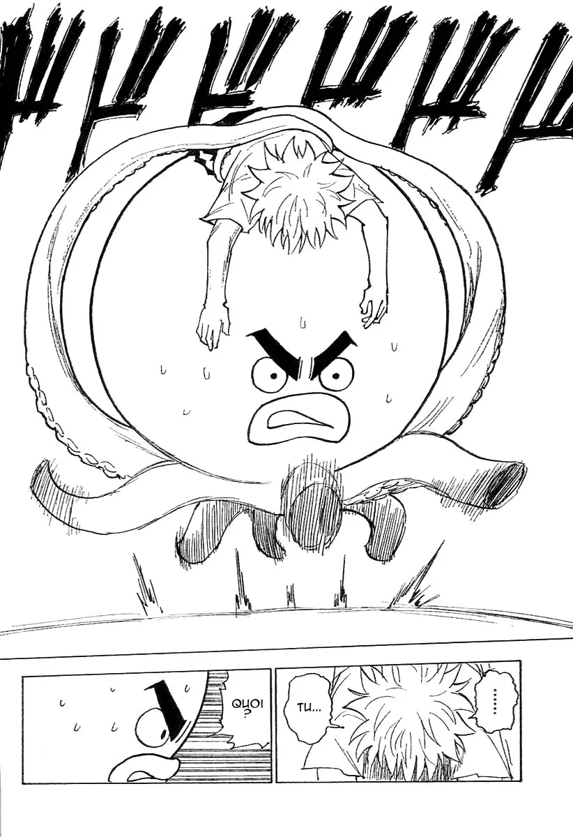 Hunter X Hunter Chapitre 241 page 8