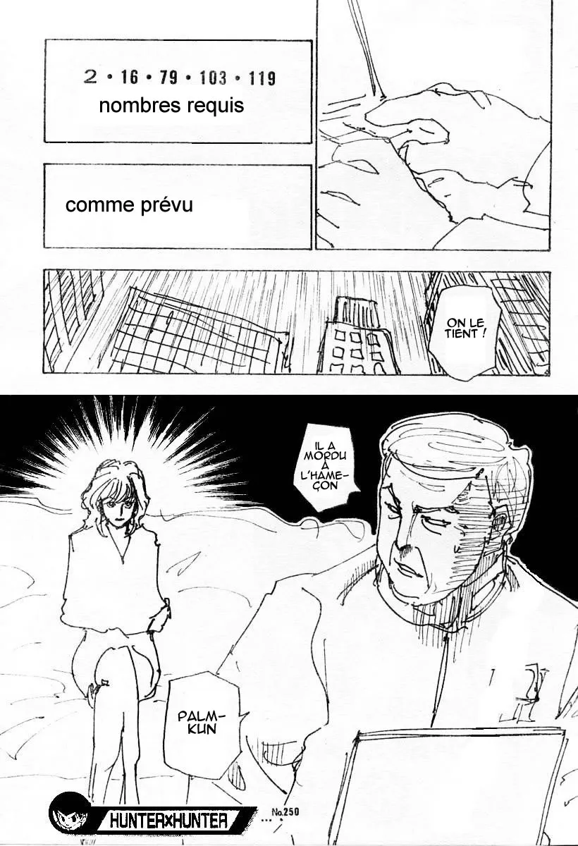 Hunter X Hunter Chapitre 250 page 15