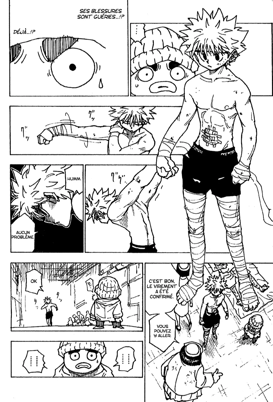 Hunter X Hunter Chapitre 255 page 7