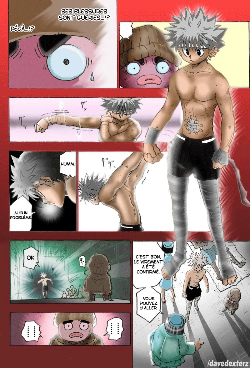 Hunter X Hunter Chapitre 255 page 8