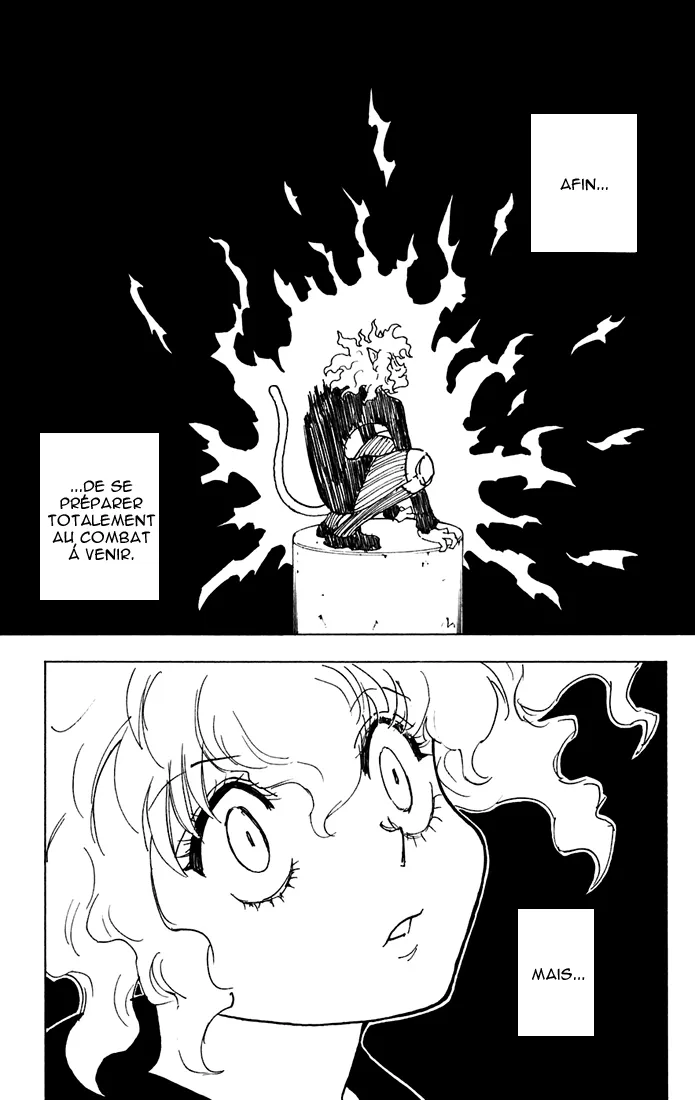 Hunter X Hunter Chapitre 263 page 14