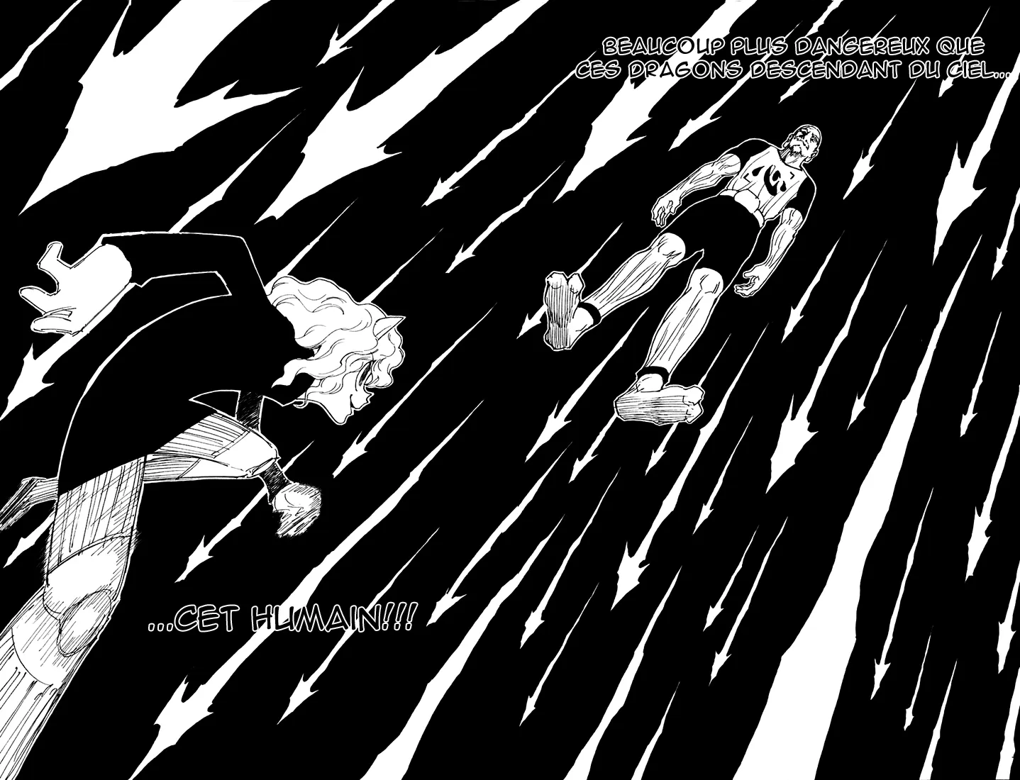 Hunter X Hunter Chapitre 264 page 5