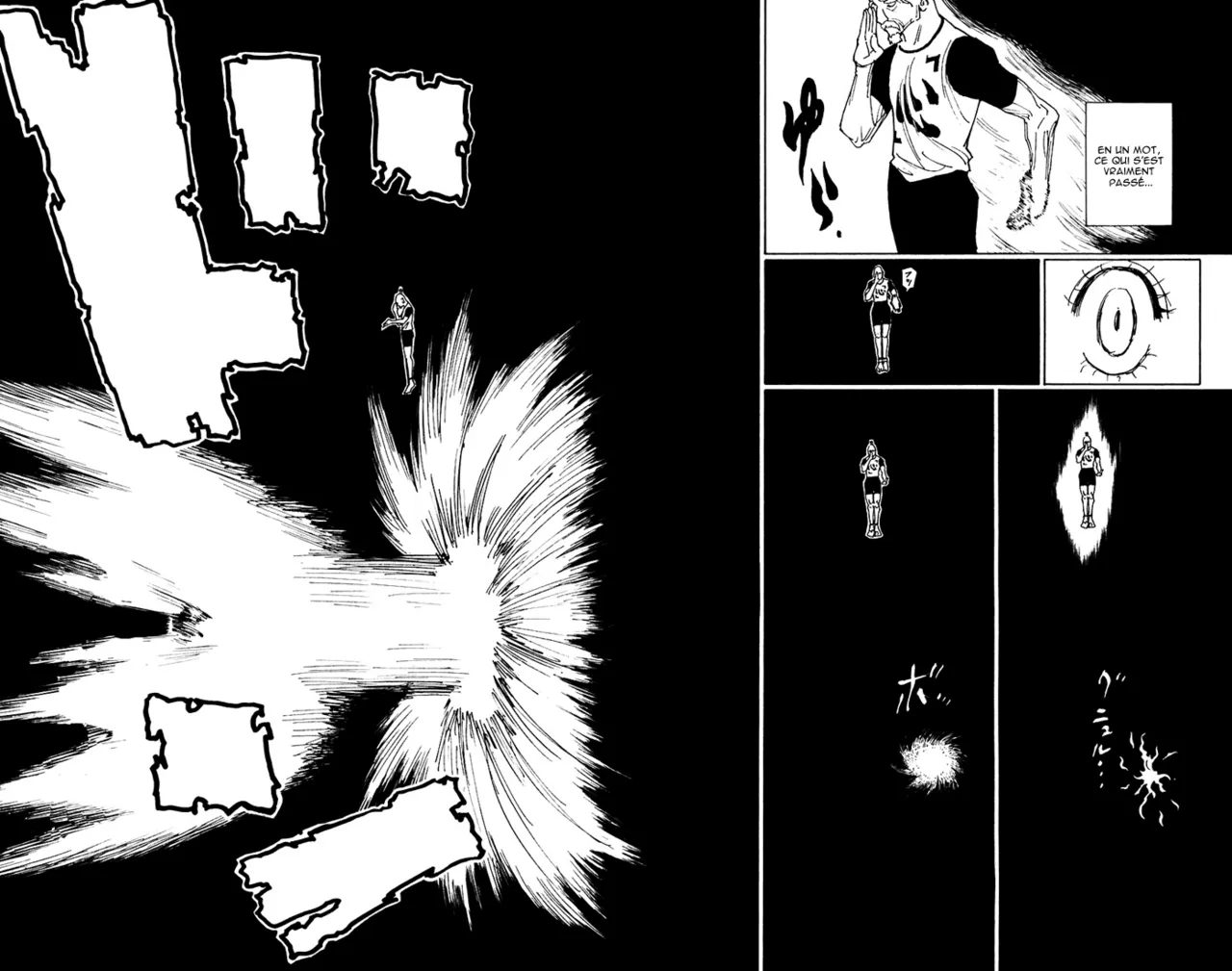 Hunter X Hunter Chapitre 264 page 12