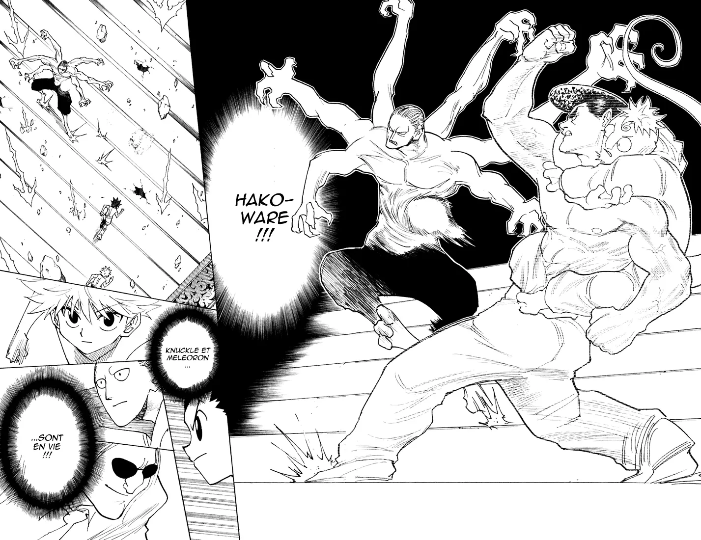Hunter X Hunter Chapitre 266 page 15