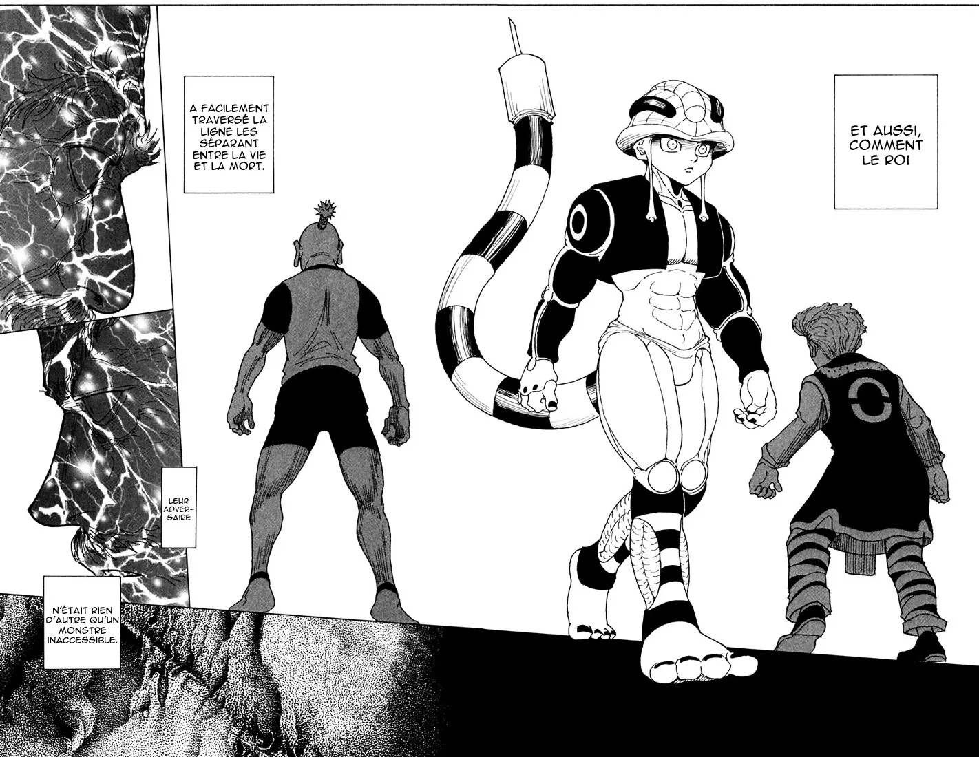 Hunter X Hunter Chapitre 268 page 10