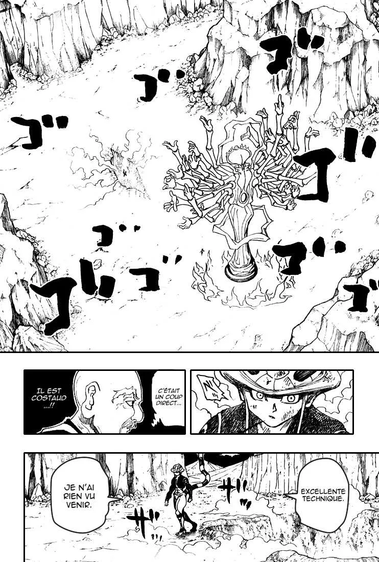 Hunter X Hunter Chapitre 290 page 10