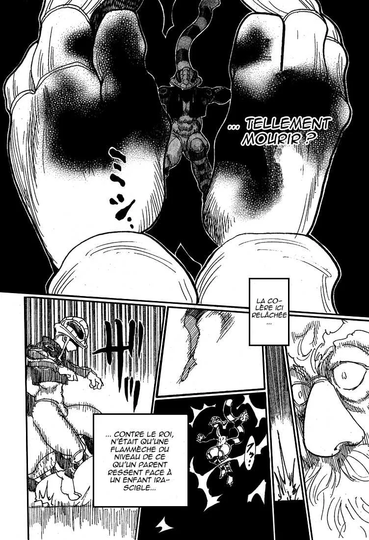 Hunter X Hunter Chapitre 290 page 13