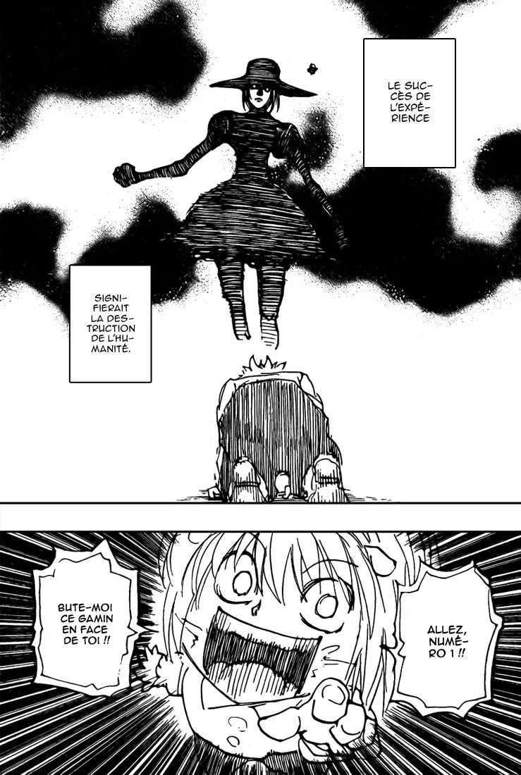 Hunter X Hunter Chapitre 294 page 13