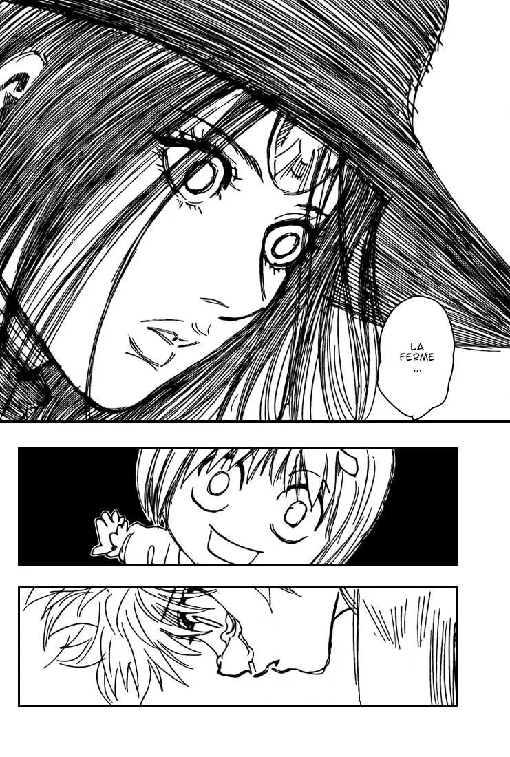 Hunter X Hunter Chapitre 294 page 14