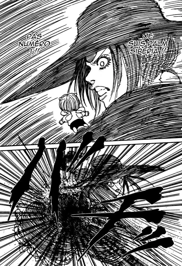 Hunter X Hunter Chapitre 294 page 15