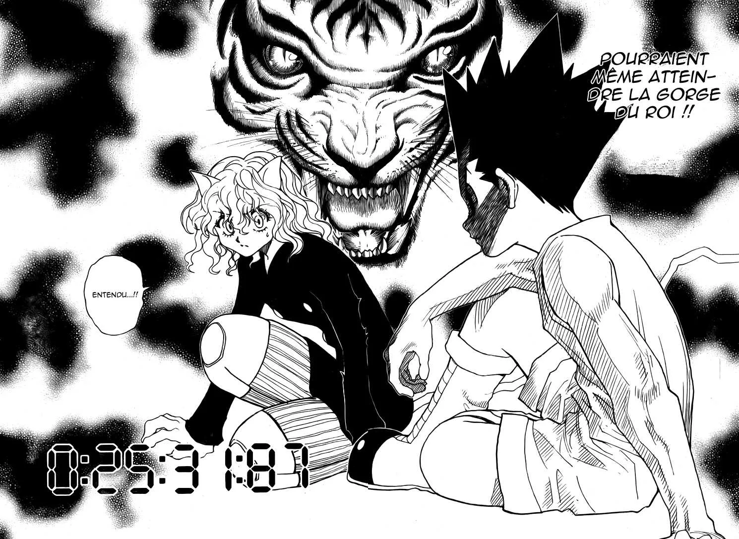 Hunter X Hunter Chapitre 295 page 13