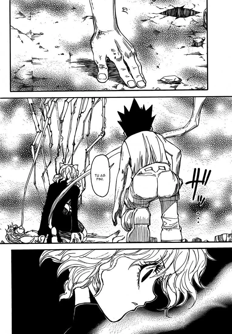 Hunter X Hunter Chapitre 300 page 8