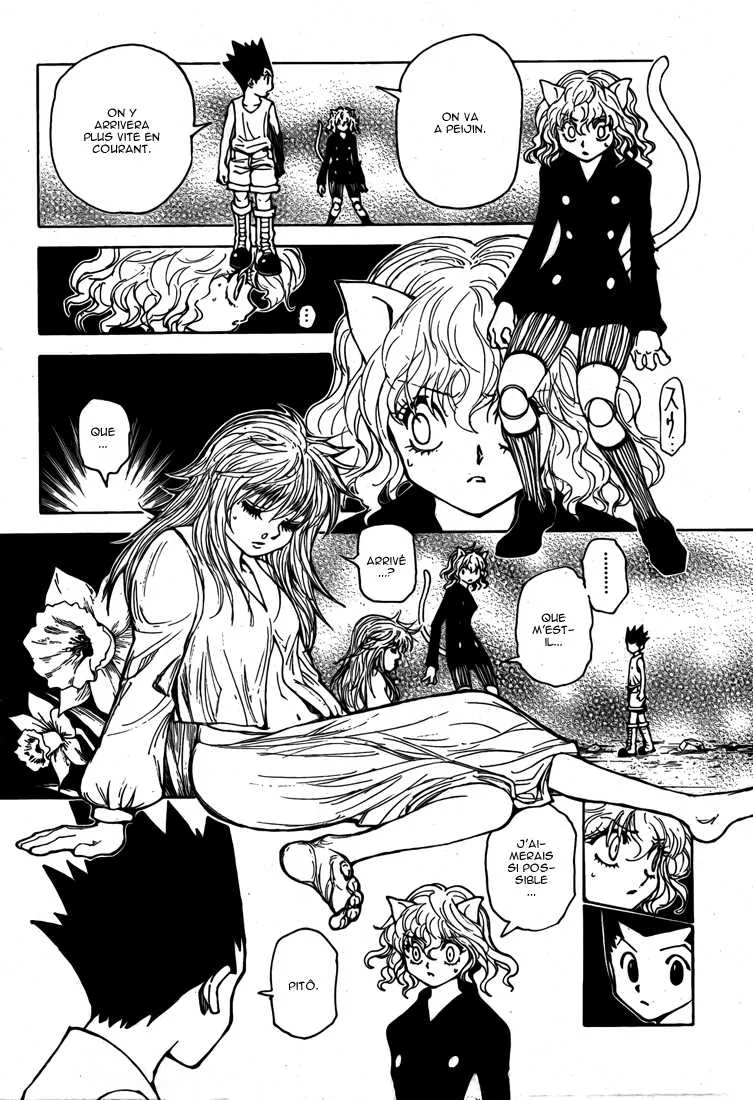 Hunter X Hunter Chapitre 300 page 11