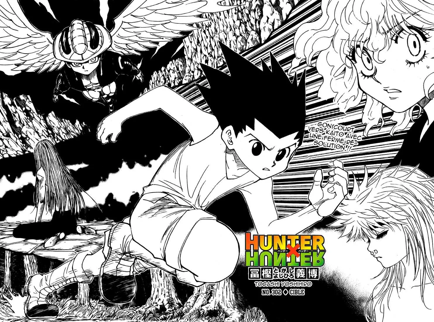 Hunter X Hunter Chapitre 302 page 2