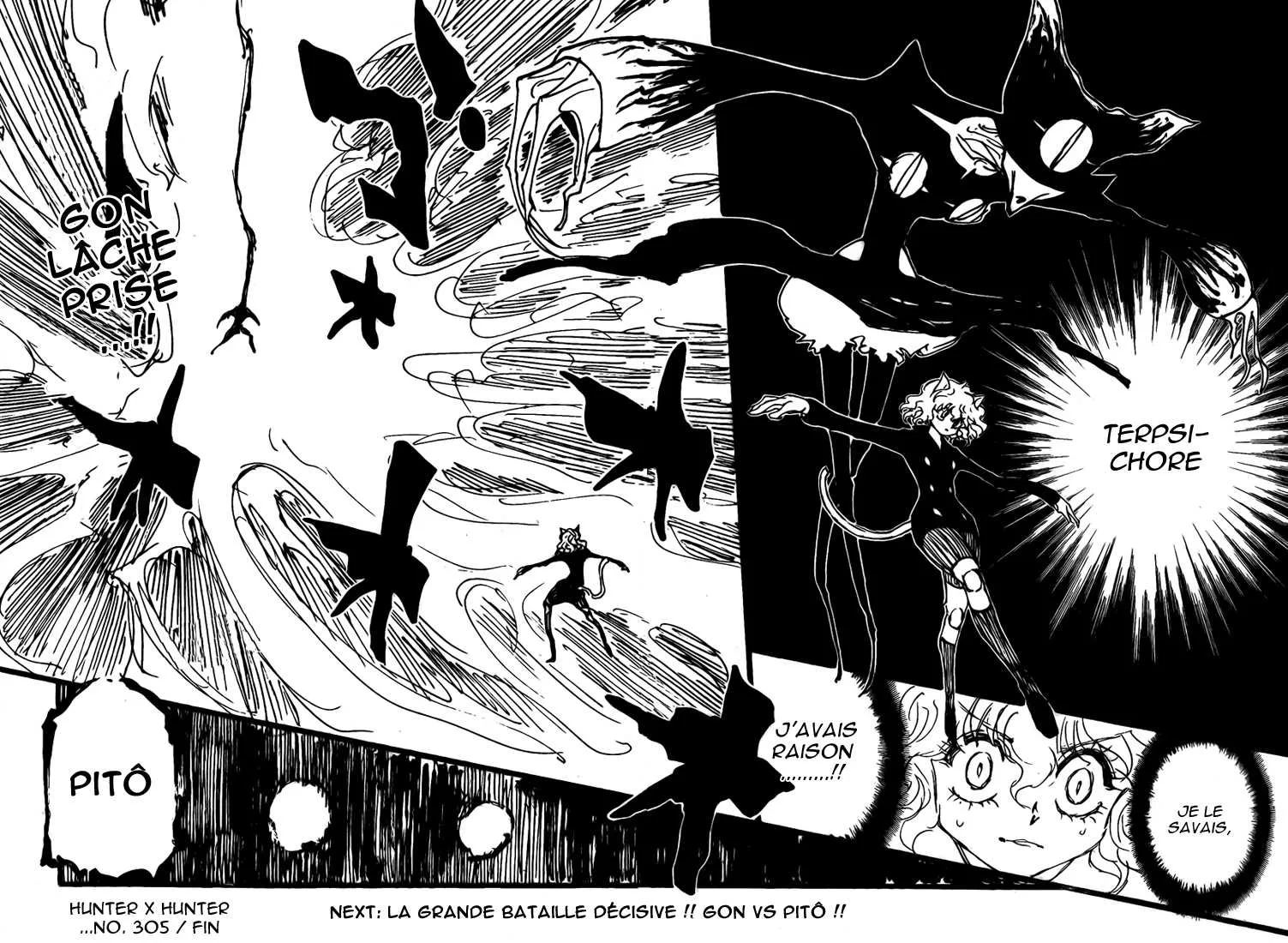Hunter X Hunter Chapitre 305 page 15