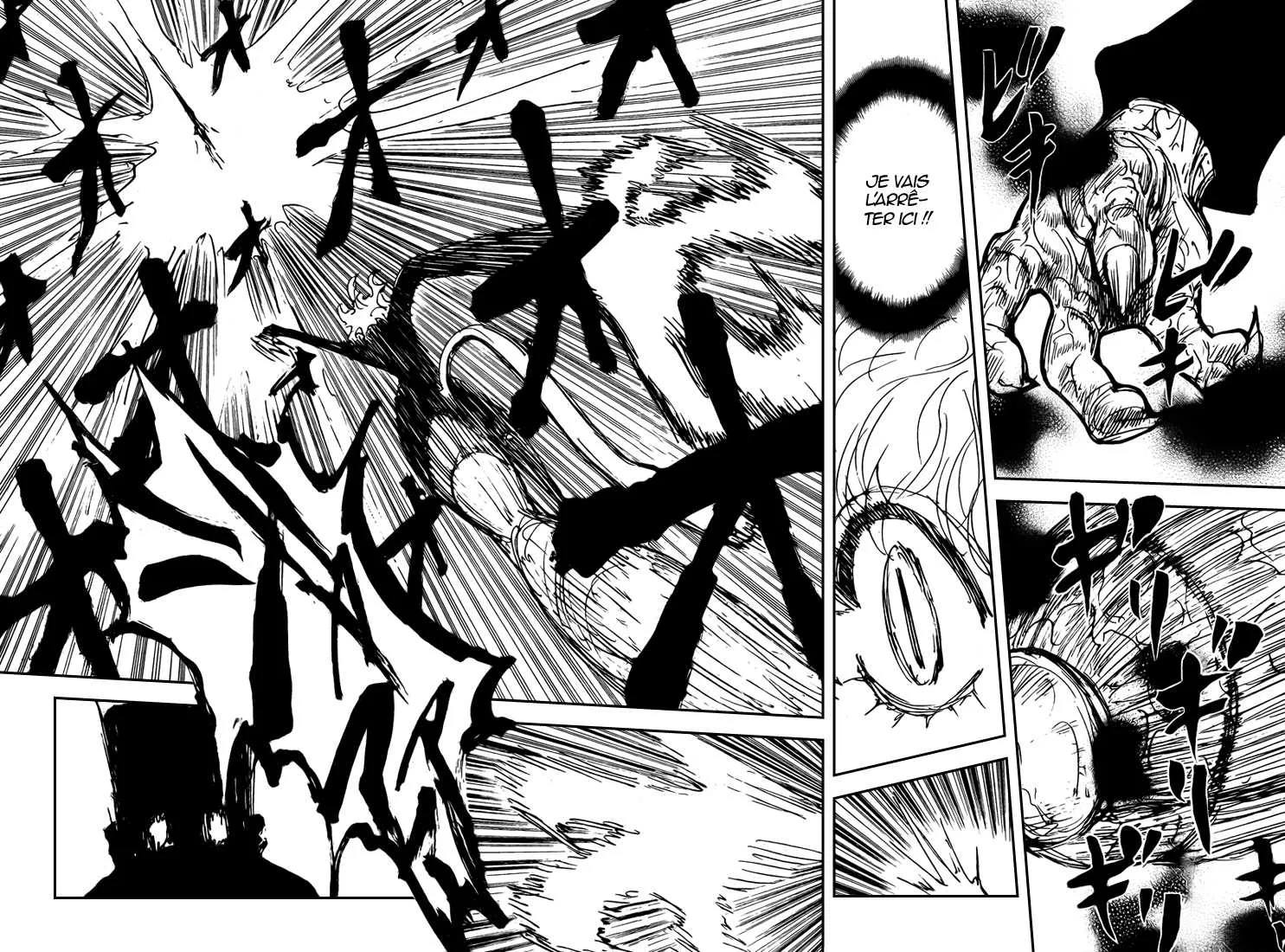 Hunter X Hunter Chapitre 306 page 2