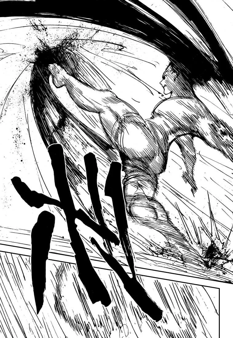 Hunter X Hunter Chapitre 306 page 8