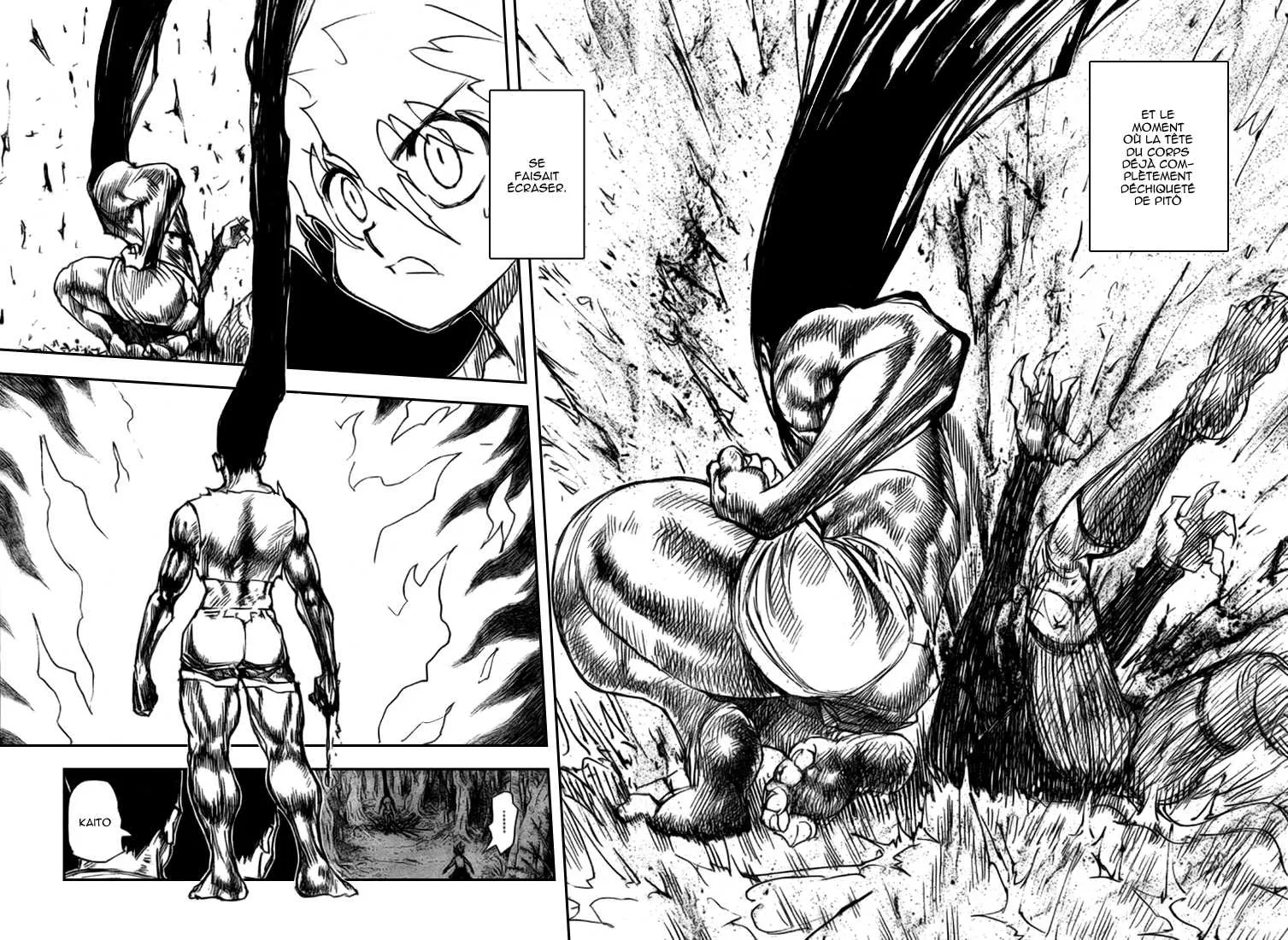 Hunter X Hunter Chapitre 307 page 3