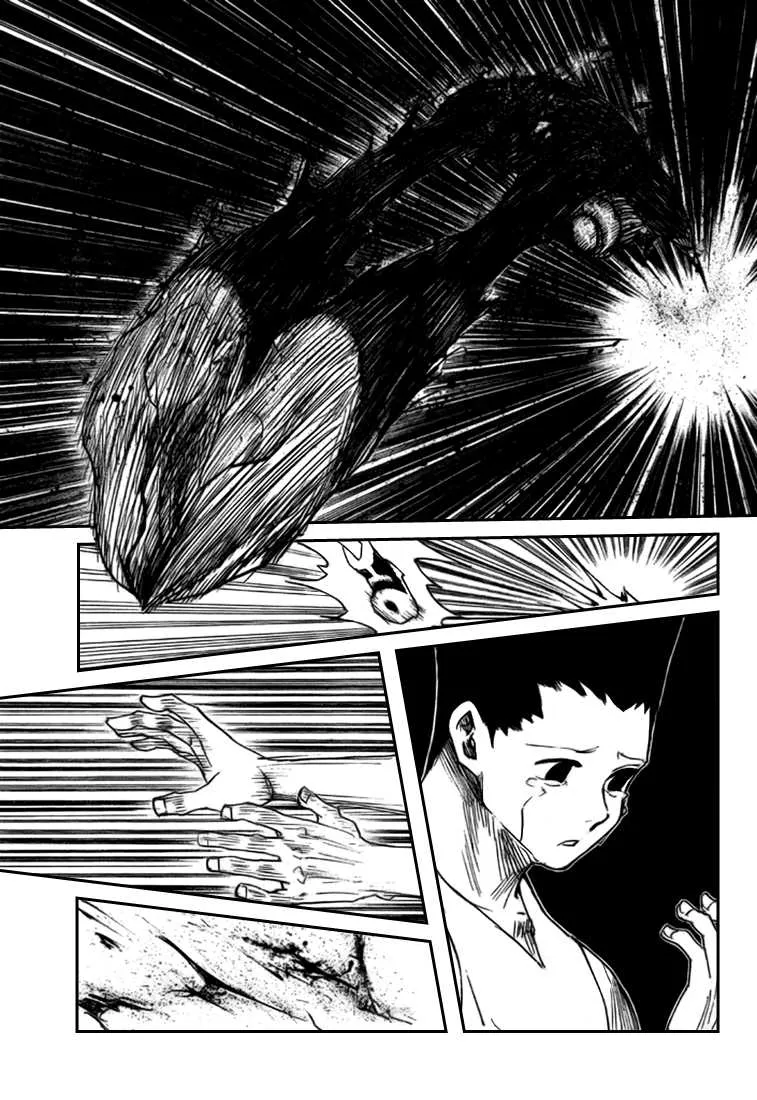 Hunter X Hunter Chapitre 307 page 7