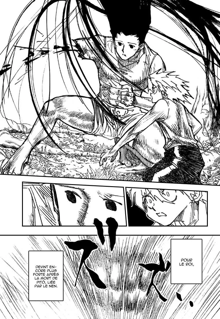 Hunter X Hunter Chapitre 307 page 9