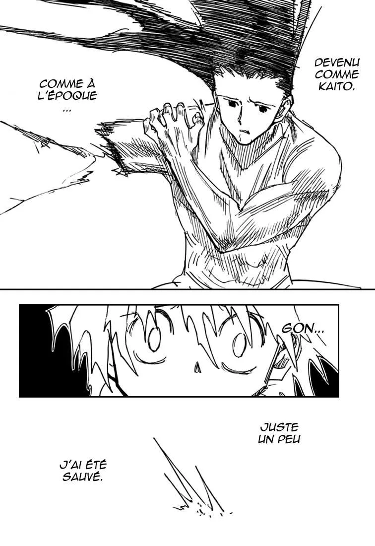 Hunter X Hunter Chapitre 307 page 12