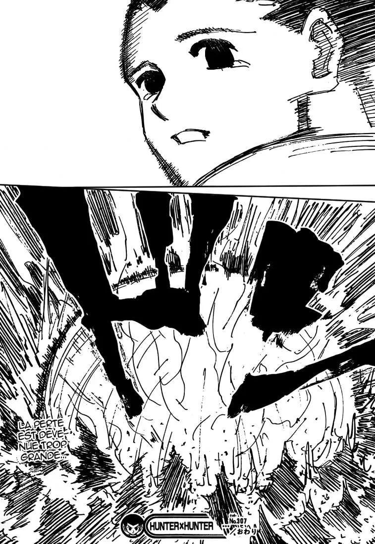 Hunter X Hunter Chapitre 307 page 17