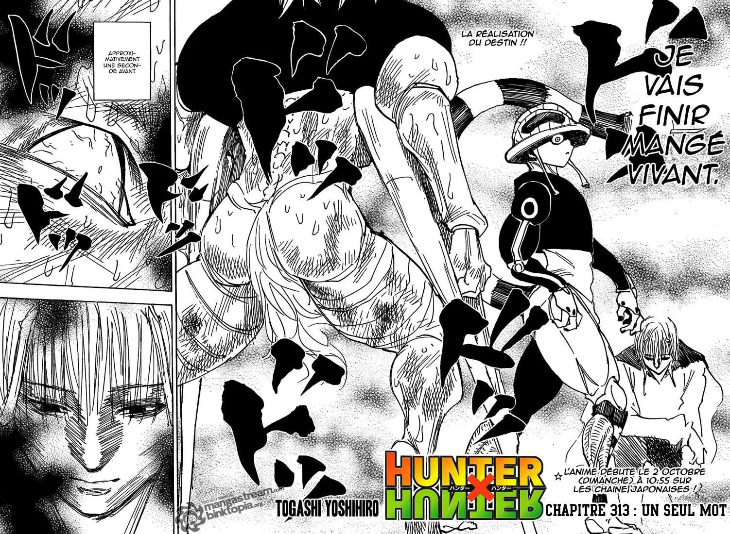 Hunter X Hunter Chapitre 313 page 2